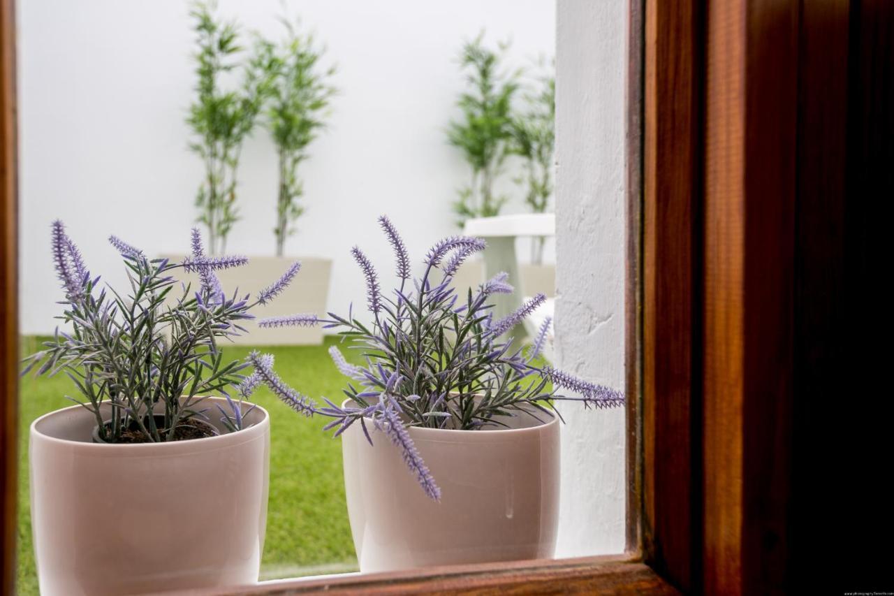 Cactus Apartment San Miguel de Abona Exterior foto